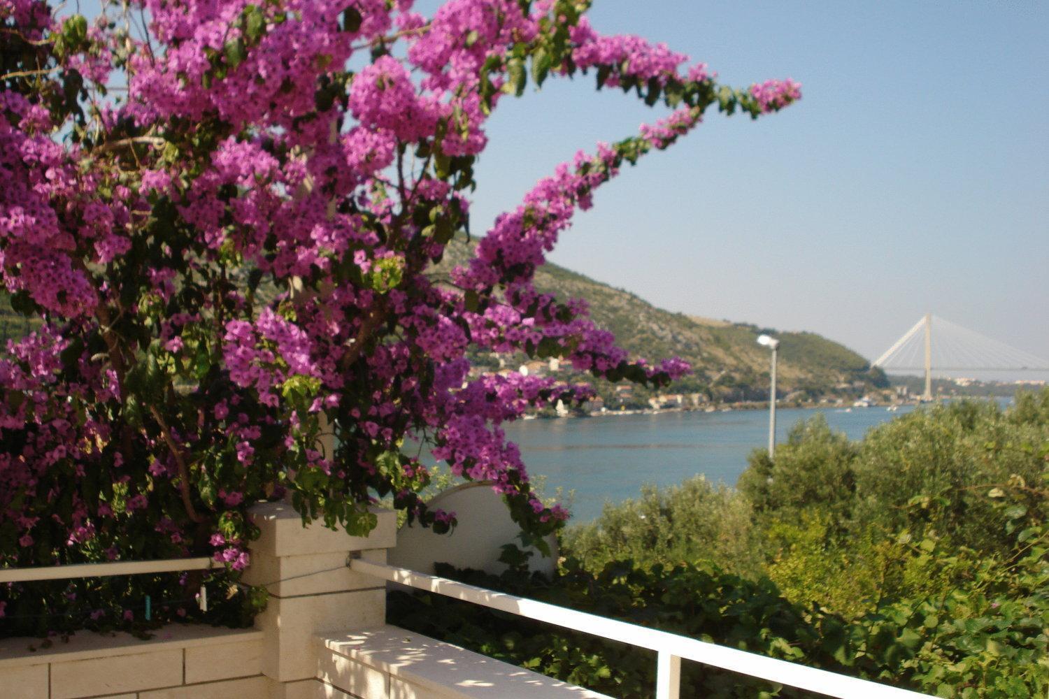 Apartments Husanovic โมโกชิซา ภายนอก รูปภาพ