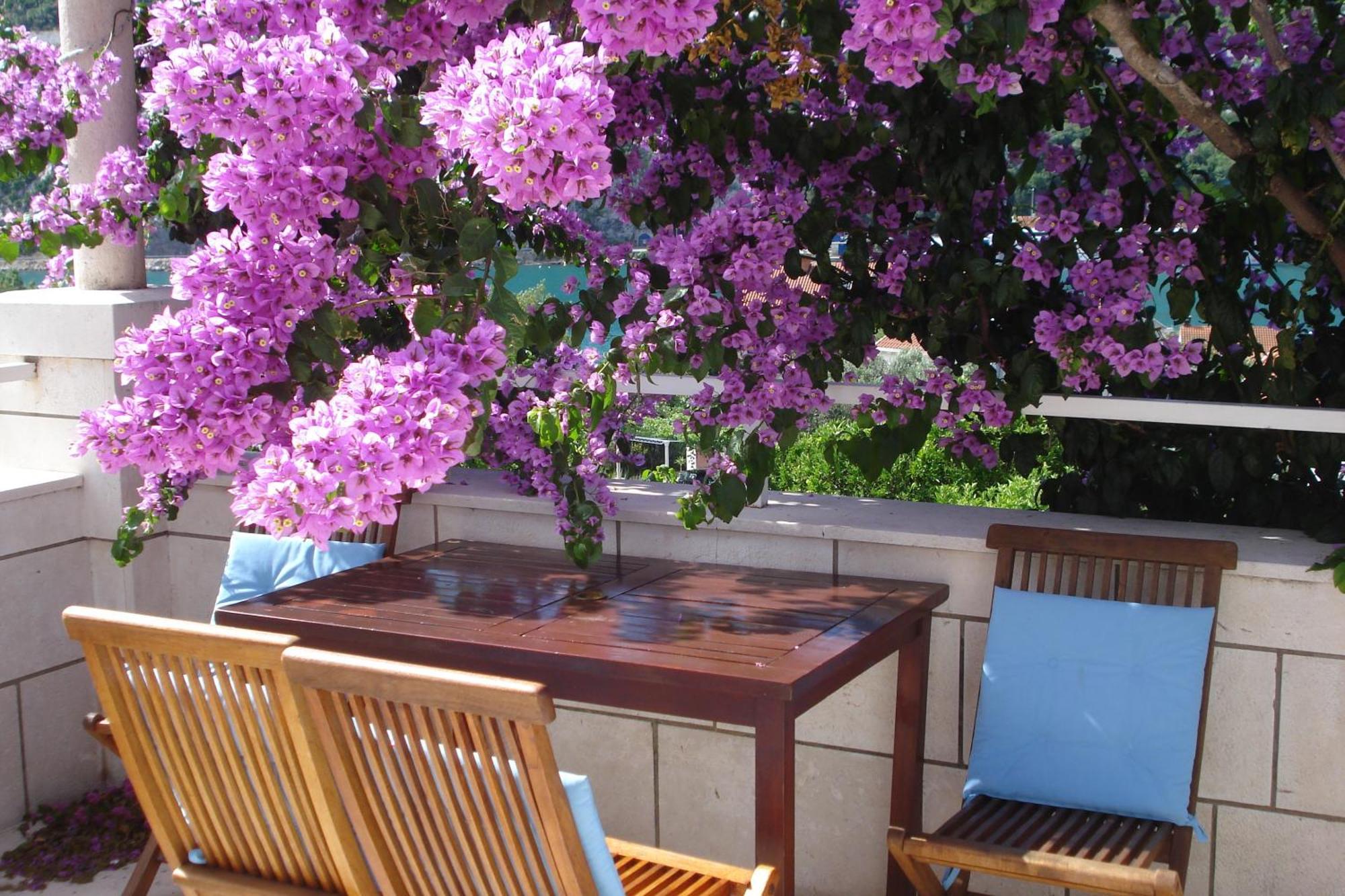 Apartments Husanovic โมโกชิซา ภายนอก รูปภาพ