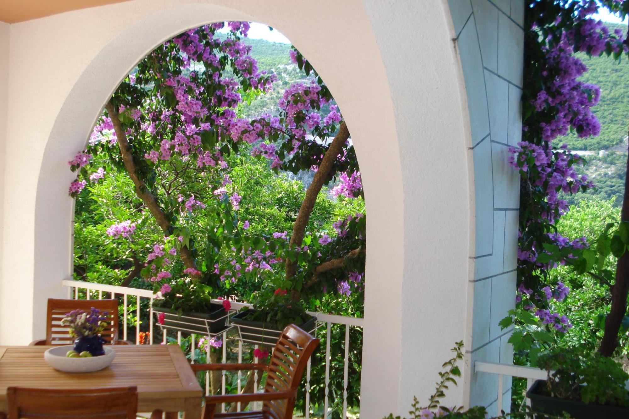 Apartments Husanovic โมโกชิซา ภายนอก รูปภาพ