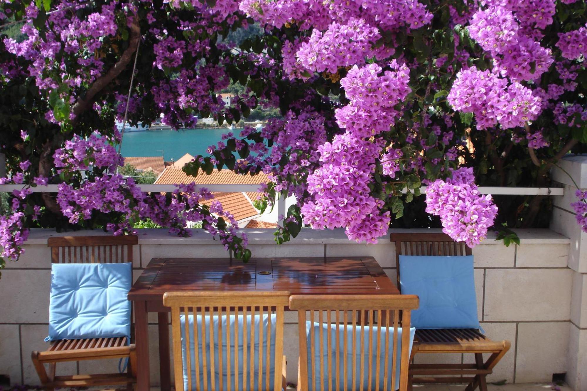 Apartments Husanovic โมโกชิซา ภายนอก รูปภาพ