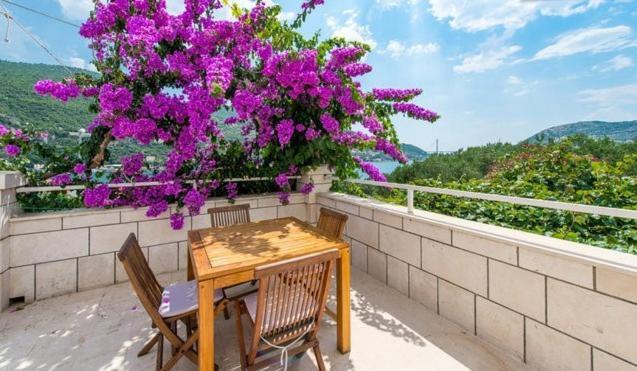 Apartments Husanovic โมโกชิซา ห้อง รูปภาพ